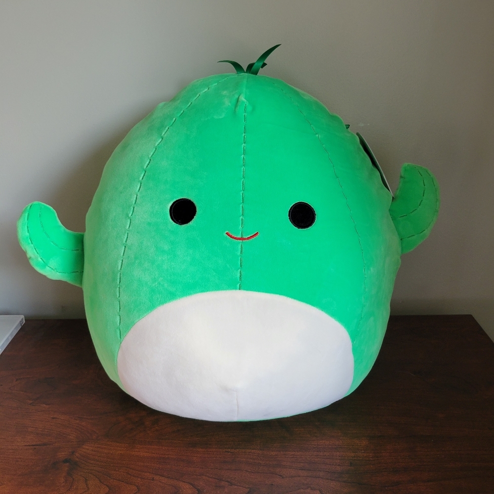 Cactus Squishmallow
